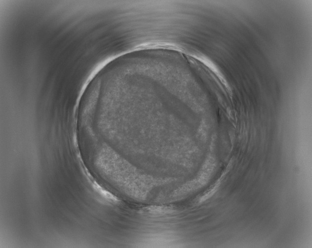 X0000059251102200511111634