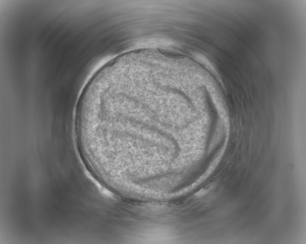 X0000059251103200511111634