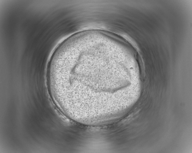 X0000059251104200511111634