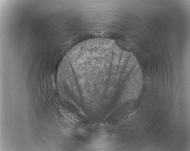 X0000059251106200511111634