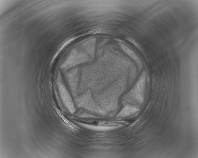 X0000059251115200511111634