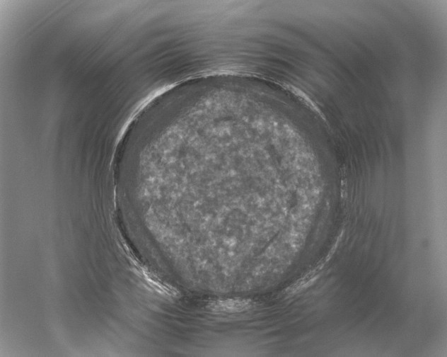 X0000059251117200511111634