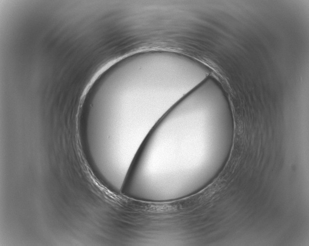 X0000059251120200511111634