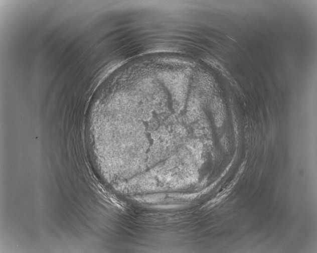 X0000059251121200511111634