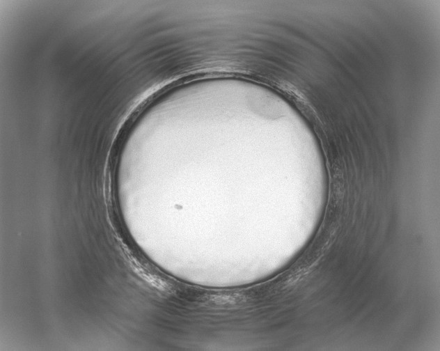 X0000059251125200511111634