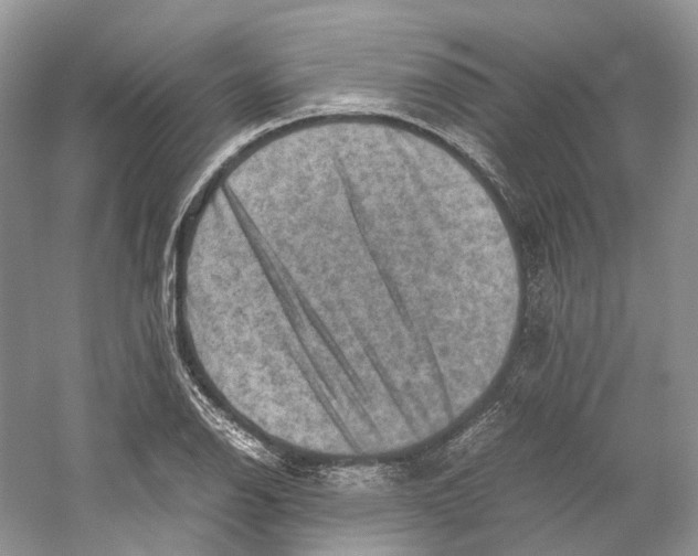 X0000059251126200511111634