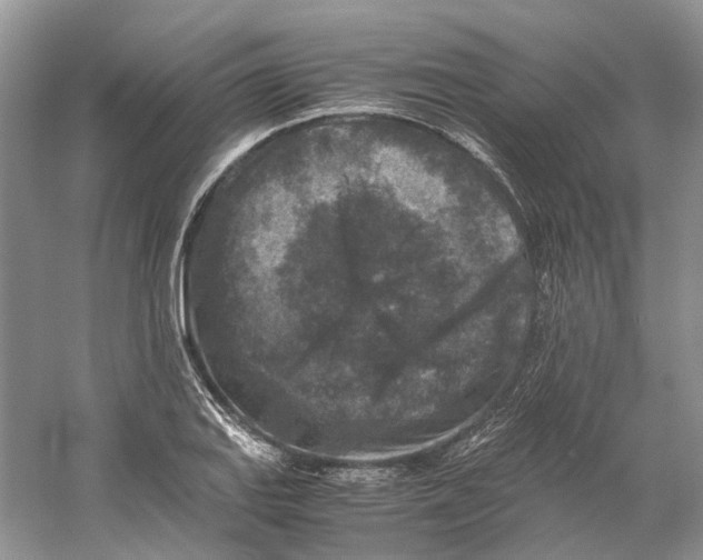 X0000059251127200511111634