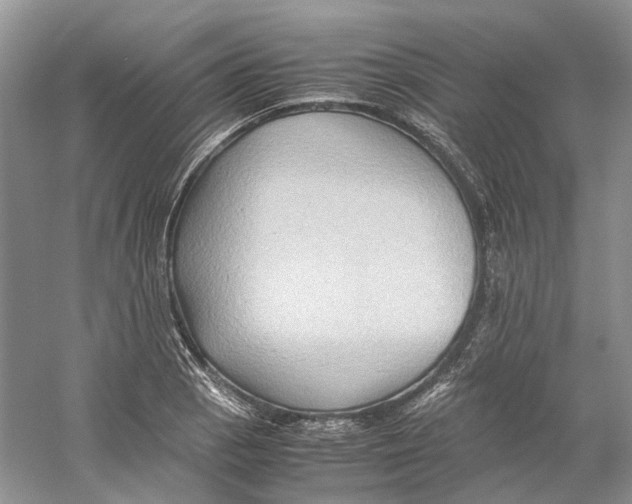 X0000059251129200511111634