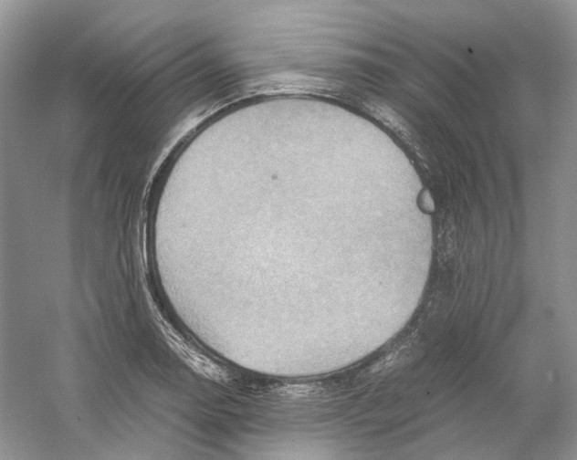 X0000059251130200511111634