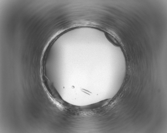 X0000059251136200511111634