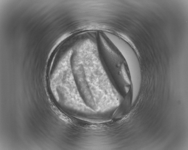 X0000059251138200511111634