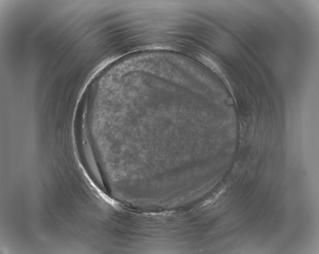 X0000059251141200511111634