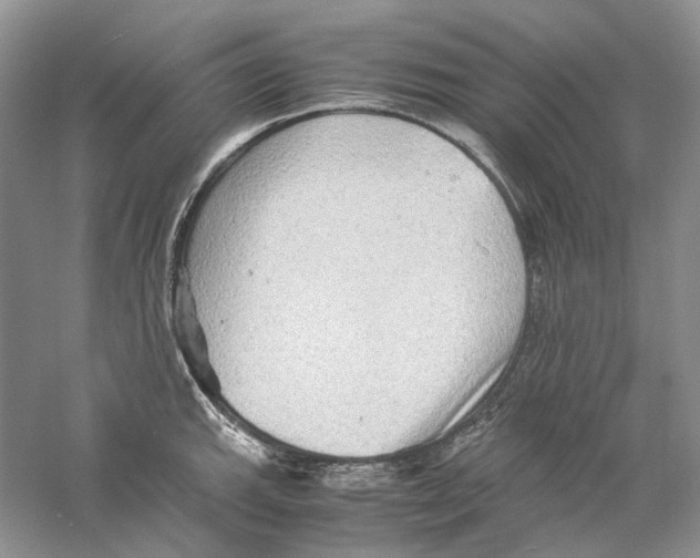 X0000059251143200511111634