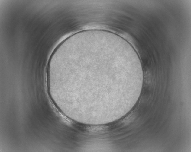 X0000059251150200511111634