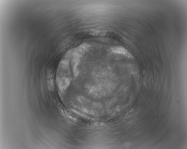 X0000059251154200511111634