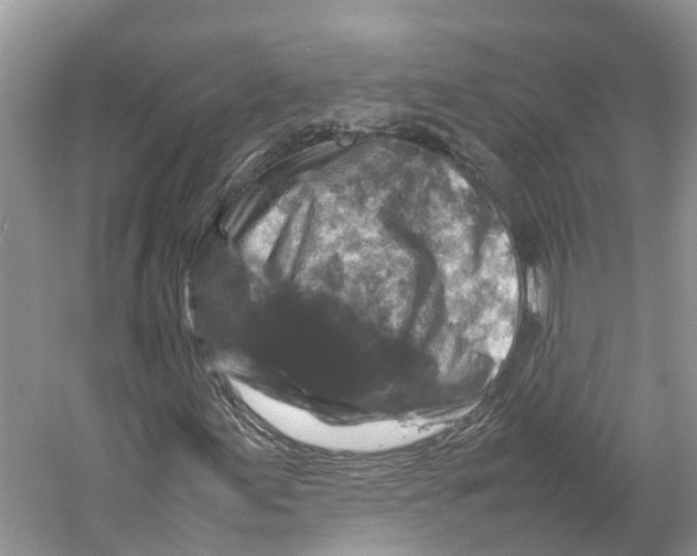 X0000059251155200511111634