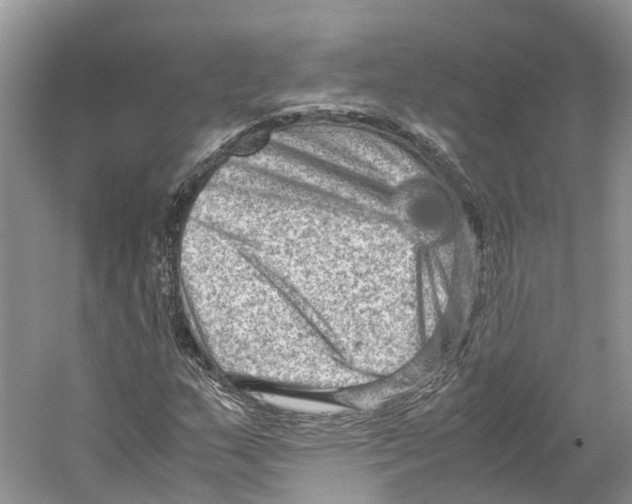 X0000059251159200511111633