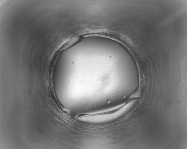 X0000059251165200511111633