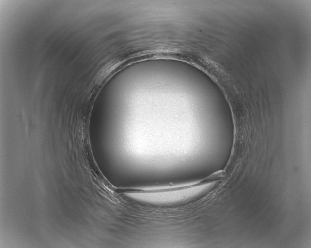 X0000059251169200511111633