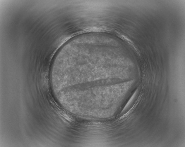 X0000059251170200511111633