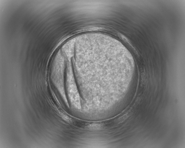 X0000059251178200511111633