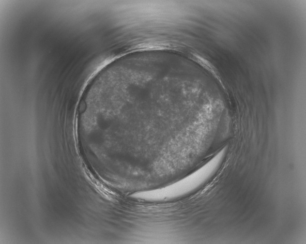 X0000059251179200511111633