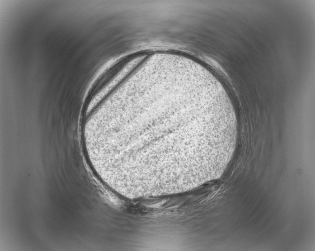 X0000059251183200511111633