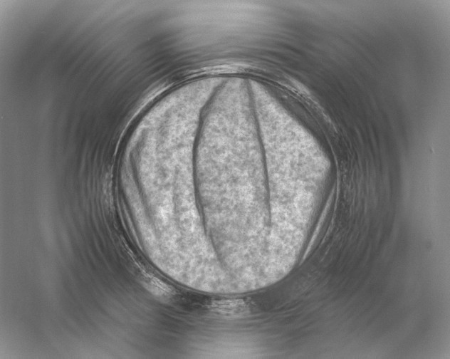 X0000059251186200511111633