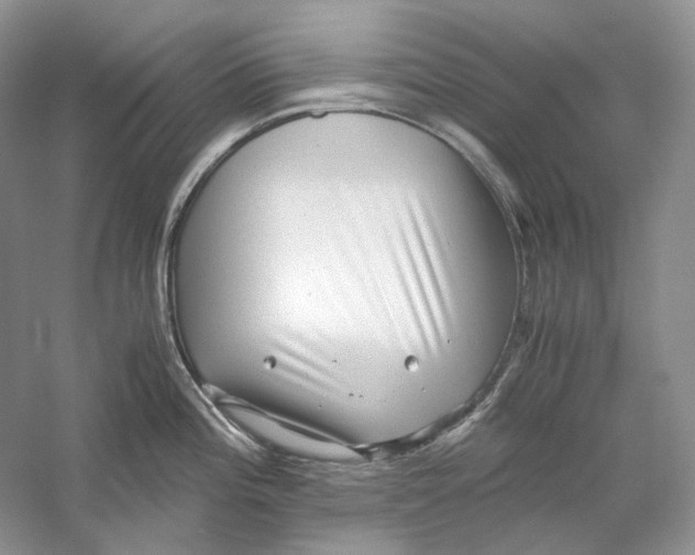 X0000059251196200511111633