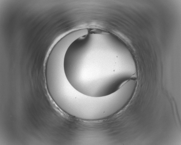 X0000059251200200511111633