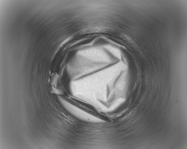 X0000059251210200511111632