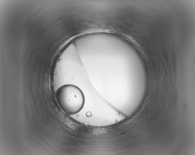 X0000059251220200511111632