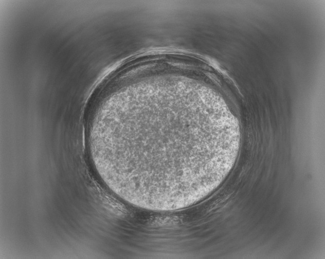 X0000059251221200511111632