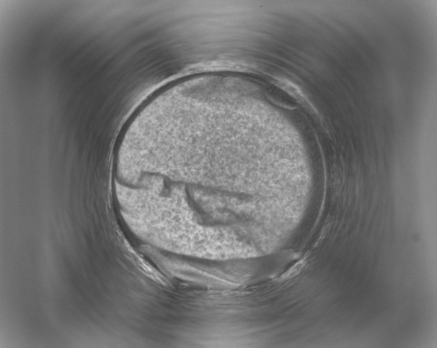 X0000059251228200511111632