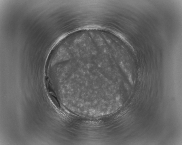 X0000059251229200511111632