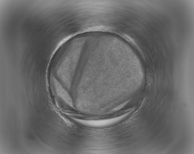 X0000059251230200511111632