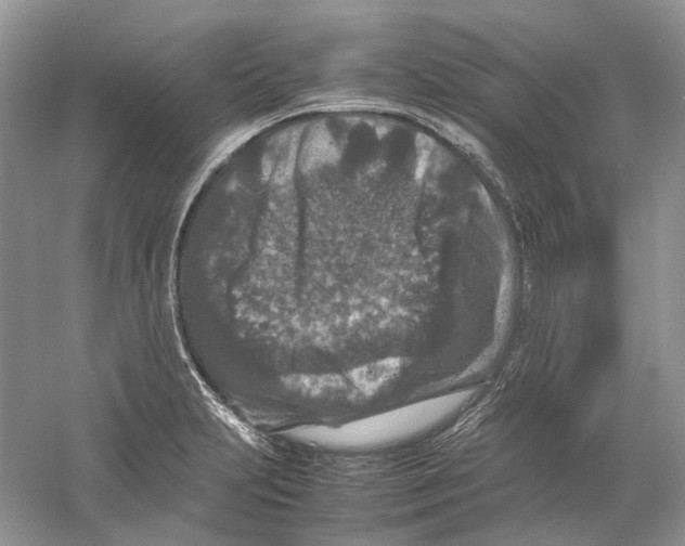 X0000059251231200511111632