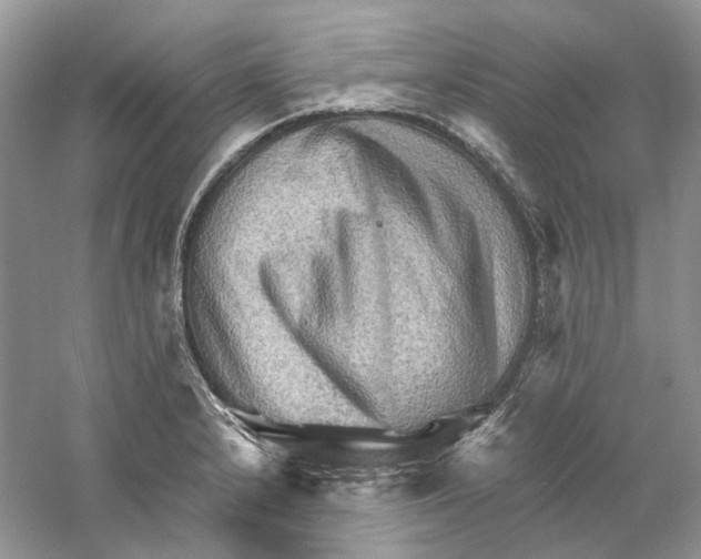 X0000059251232200511111633