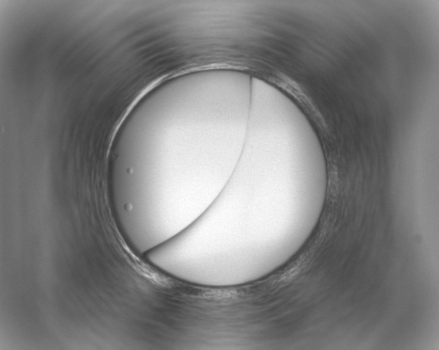 X0000059251236200511111633