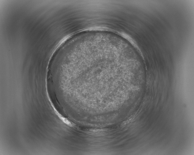 X0000059251237200511111633