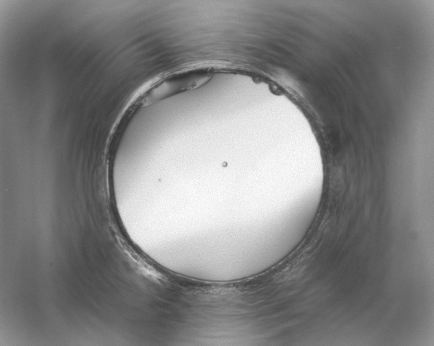 X0000059251238200511111633