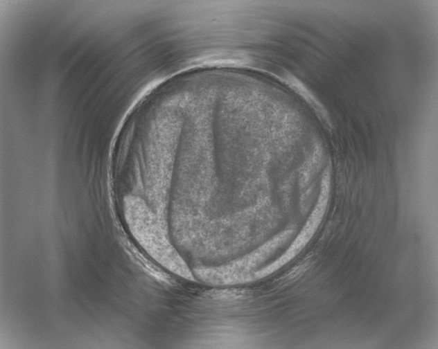 X0000059251240200511111633