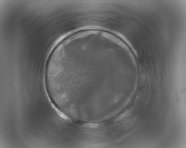 X0000059251245200511111633