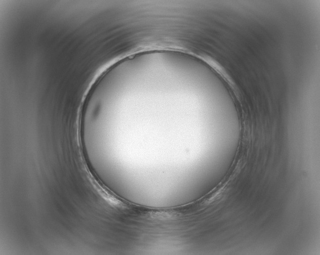 X0000059251246200511111633