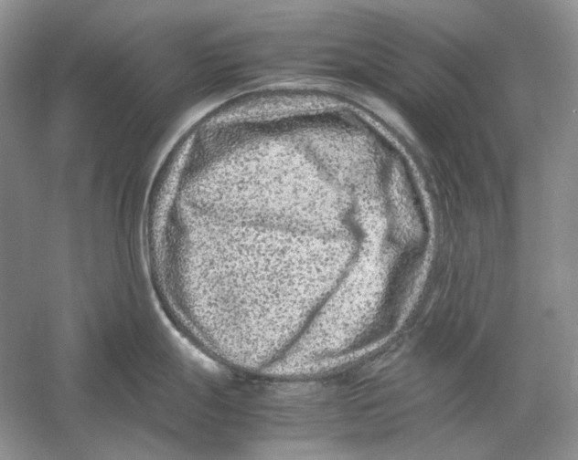 X0000059251247200511111633