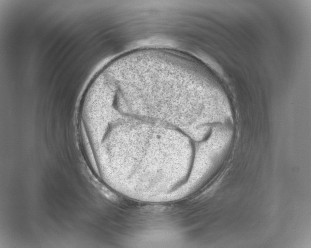 X0000059251248200511111633