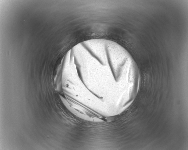 X0000059251250200511111632