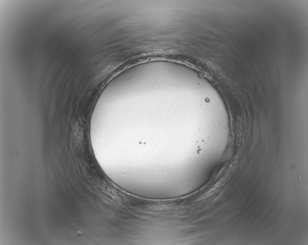 X0000059251257200511111632