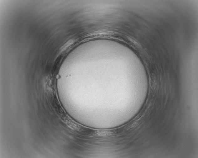 X0000059251258200511111632