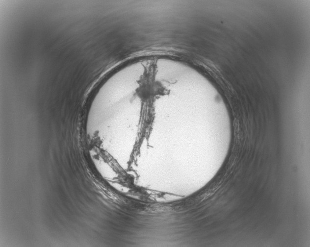 X0000059251260200511111632